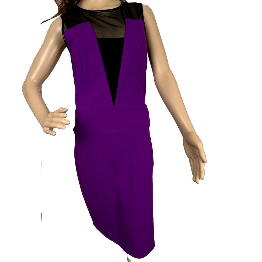 Kenneth Cole 'Eleanore' ~ Purple Illusion Mesh Party / Cocktail Dress Sz 6